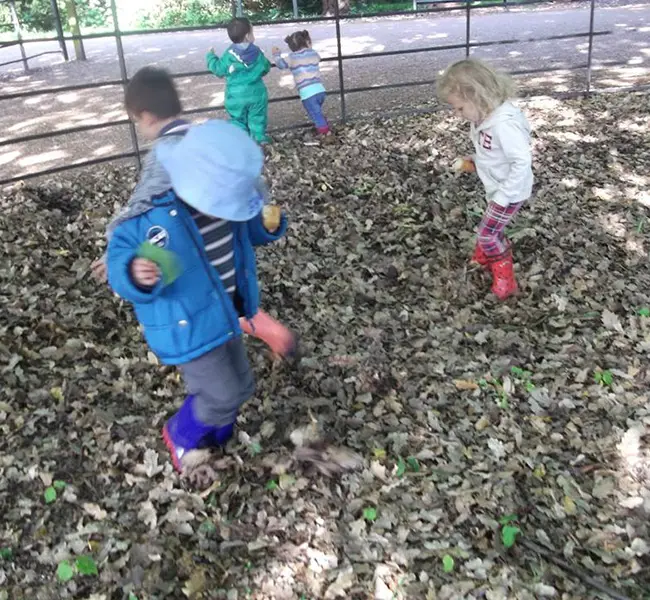 A Forest School day out in May A Forest School day out in May