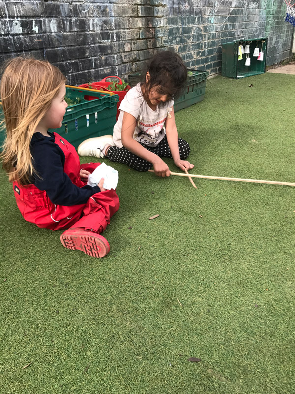 Forest School