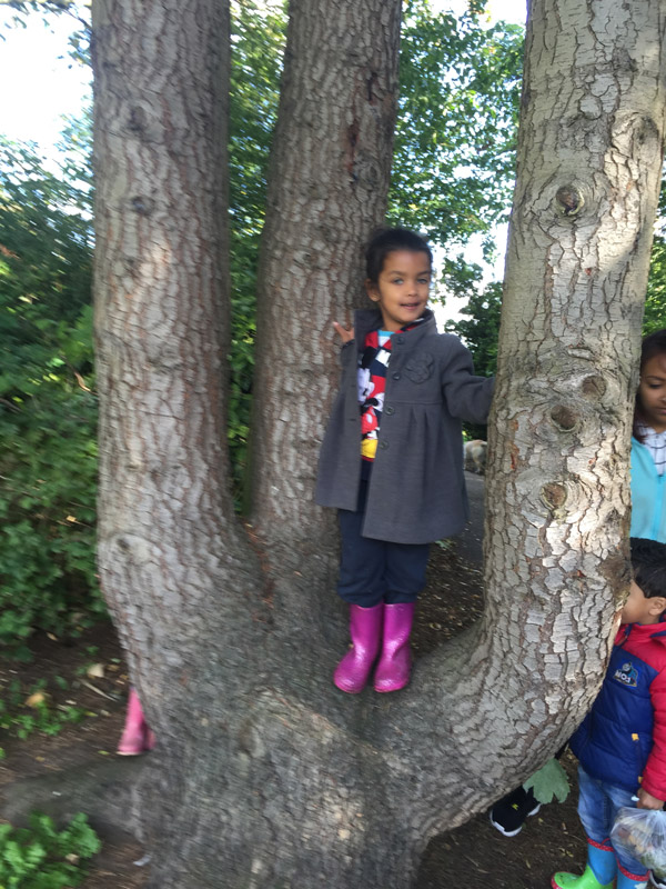 Forest School