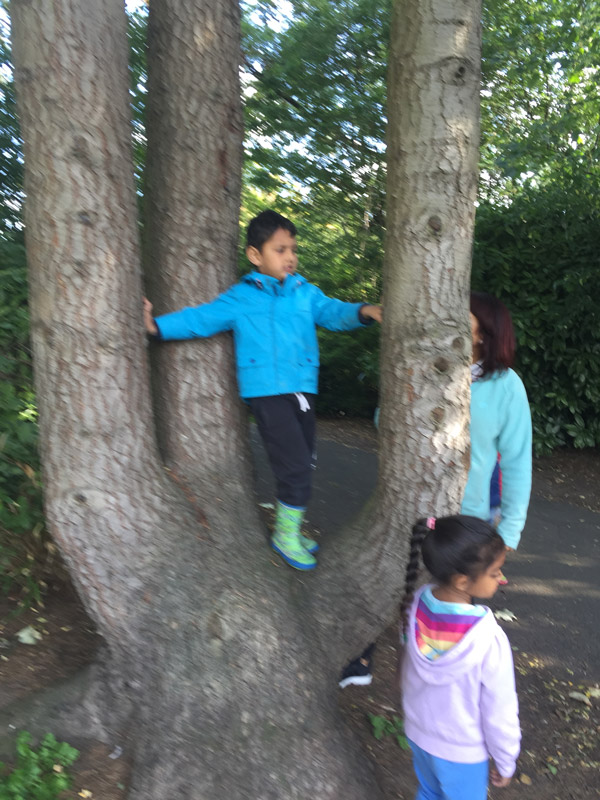 Forest School